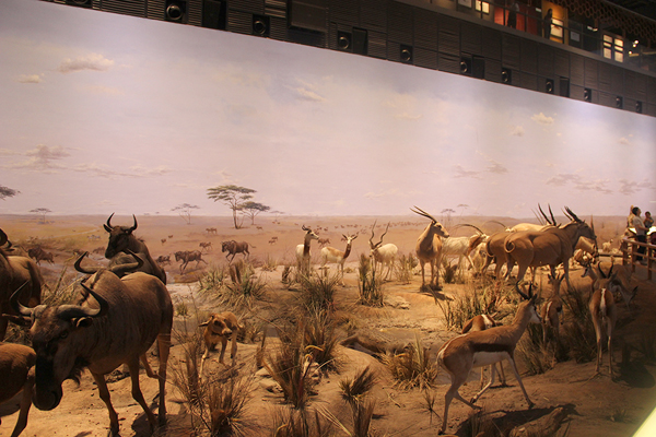 1474953477768090WsyO.jpg 07.jpg